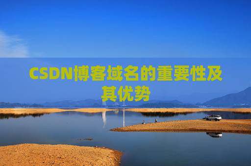 CSDN博客域名的重要性及其优势